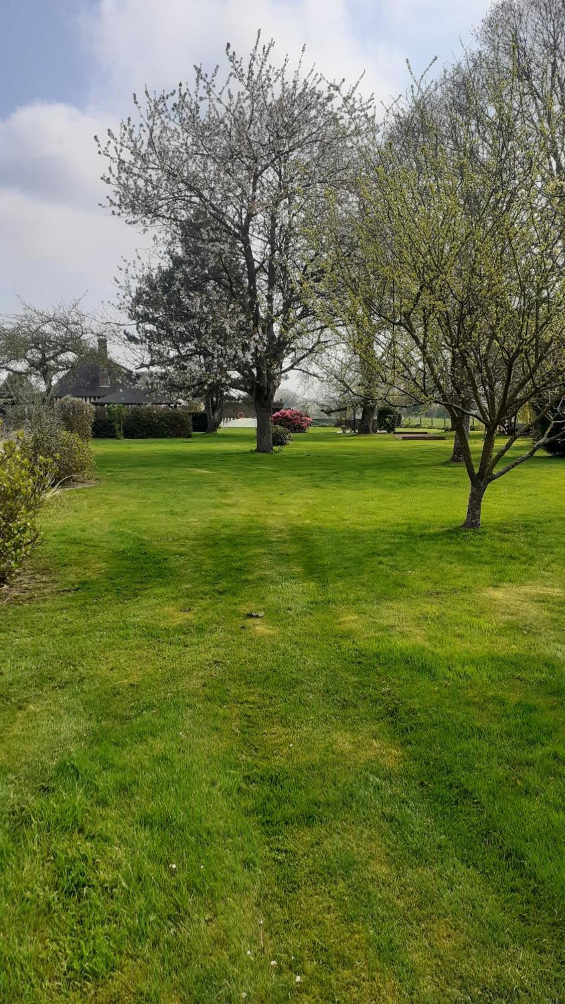 Bed and Breakfast Pressoir Les Campenottes Beuzeville Exterior foto